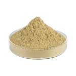 Cordyceps Extract Supplier - Sinensis Powder Low Price