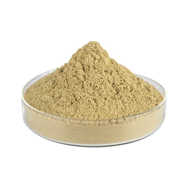 Cordyceps Extract Supplier - Sinensis Powder Low Price