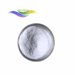 Alpha Arbutin Powder Factory - Pure Bulk Price Herb Collection