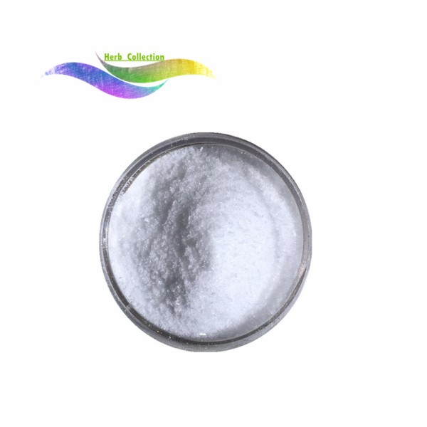 Alpha Arbutin Powder Factory - Pure Bulk Price Herb Collection