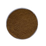 Lion's Mane Coffee Powder Factory - Water Soluble Mushroom