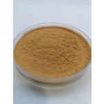 Cinnamon Bark Extract Supplier - 10:1 Bulk Powder