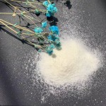 Nicotinamide Riboside Powder Factory - 98% Purity NR Chloride