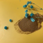 Lion's Mane Coffee Powder Factory - Water Soluble Mushroom