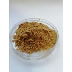 Cinnamon Bark Extract Supplier - 10:1 Bulk Powder