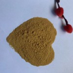 Reishi Mushroom Extract Manufacturer - Ganoderma Lucidum Powder