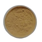 Mushroom Blend Powder Factory - Lion's Mane Reishi Cordyceps