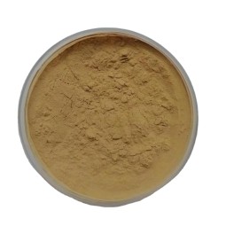 Mushroom Blend Powder Factory - Lion's Mane Reishi Cordyceps
