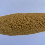 Reishi Mushroom Extract Manufacturer - Ganoderma Lucidum Powder