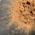 Chaga Mushroom Extract Supplier - 20 Years Factory Low Price