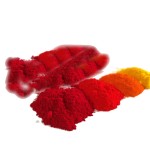 Cochineal Carmine Powder Manufacturer - Natural Pigment Bulk