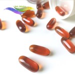 Coenzyme Q10 Softgels Manufacturer - 200mg Heart Health OEM