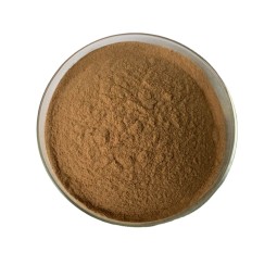 Lemon Verbena Extract Factory - Herbal Extract Low Price