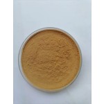 Mushroom Blend Powder Factory - Lion's Mane Reishi Cordyceps