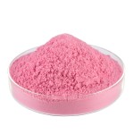Acerola Cherry Extract Manufacturer - 17-25% Vitamin C Powder