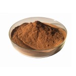 Reishi Mushroom Extract Manufacturer - Ganoderma Lucidum Powder