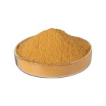 Ginkgo Biloba Extract Supplier - 100% Natural Herbal Leaf