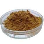 Lion's Mane Extract Manufacturer - 30% Polysaccharides EU Standard