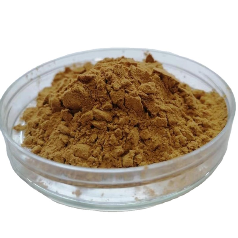 Lion's Mane Extract Manufacturer - 30% Polysaccharides EU Standard