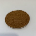 Reishi Mushroom Extract Factory - 40% Polysaccharides Powder