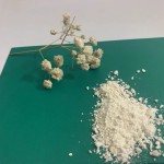 Nicotinamide Riboside Powder Factory - 98% Purity NR Chloride
