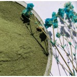 Matcha Powder Manufacturer - Organic Green Tea Ice Cream