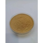 Mushroom Blend Powder Factory - Lion's Mane Reishi Cordyceps