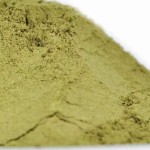 Celery Seed Powder Manufacturer - Natural Extract Bulk