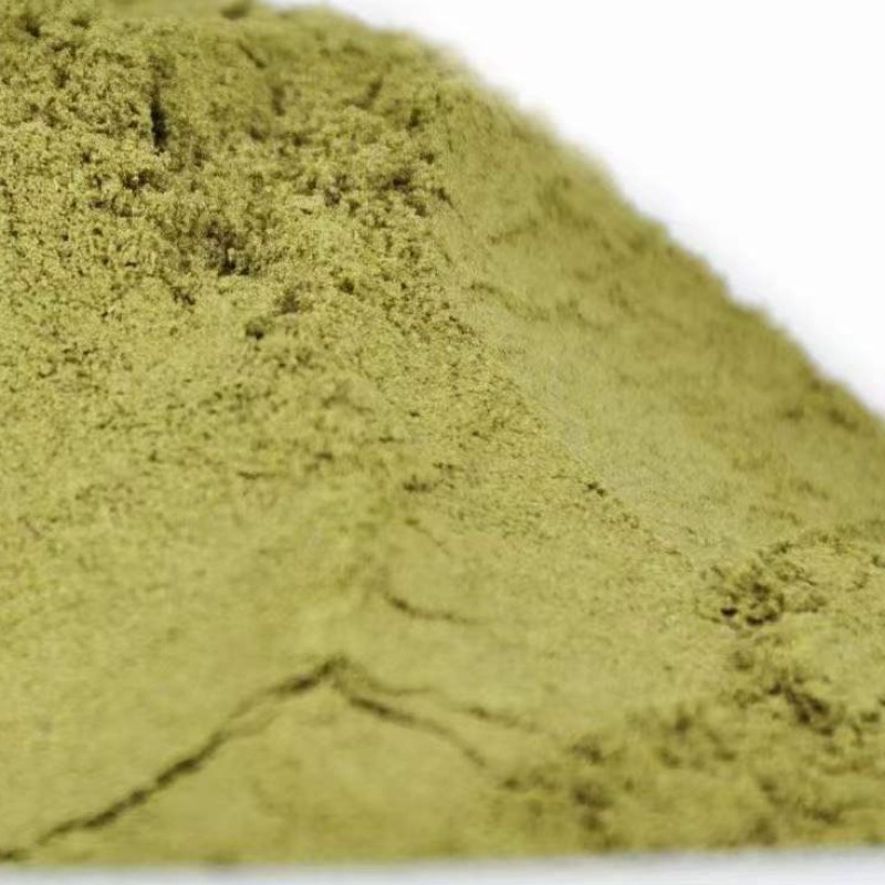 Celery Seed Powder Manufacturer - Natural Extract Bulk