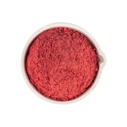 Cochineal Carmine Powder Manufacturer - Natural Pigment Bulk
