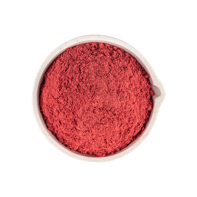 Cochineal Carmine Powder Manufacturer - Natural Pigment Bulk