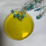 Linseed Oil Manufacturer - Hot Selling Bulk Supply