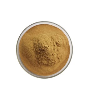 Reishi Mushroom Extract Supplier - 40% Polysaccharides Powder
