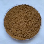 Reishi Mushroom Extract Factory - 40% Polysaccharides Powder