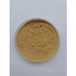 Camu Camu Extract Supplier - 100% Pure Powder Bulk