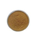 Cinnamon Bark Extract Supplier - 10:1 Bulk Powder