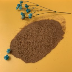 Lion's Mane Powder Manufacturer - Bulk Price Mushroom Extract