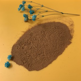 Lion's Mane Powder Manufacturer - Bulk Price Mushroom Extract