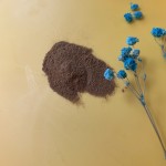 Lion's Mane Coffee Powder Factory - Water Soluble Mushroom