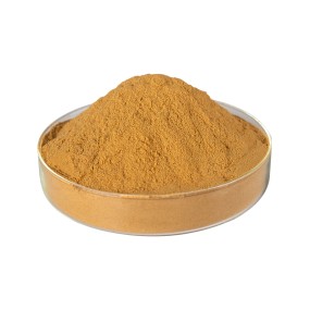 Red Clover Extract Supplier - 10:1 Flower Extract Bulk
