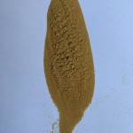 Reishi Mushroom Extract Manufacturer - Ganoderma Lucidum Powder