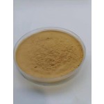Mushroom Blend Powder Factory - Lion's Mane Reishi Cordyceps