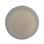 Marine Collagen Powder Supplier - Cosmetic Grade Bulk