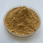 Ginkgo Biloba Extract Supplier - 100% Natural Herbal Leaf