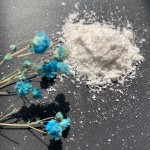 Whey Protein Concentrate Supplier - 80% Powder Bulk