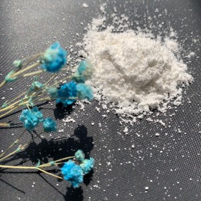 Whey Protein Concentrate Supplier - 80% Powder Bulk