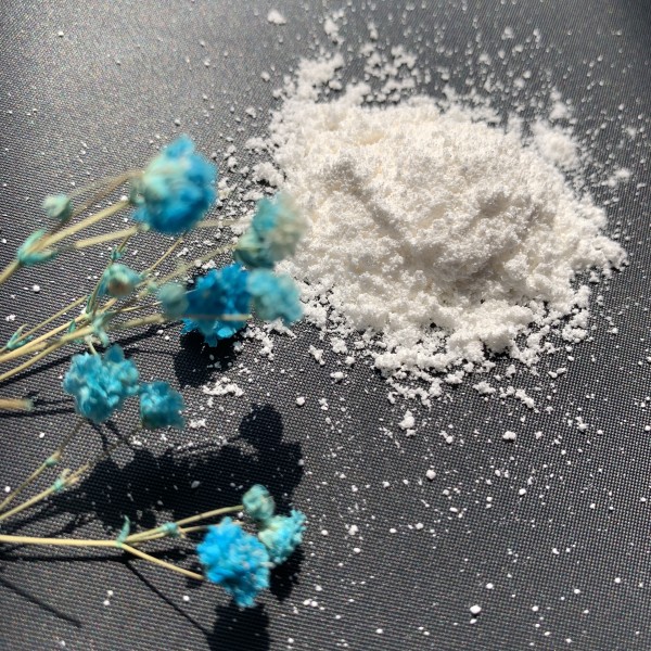 Whey Protein Concentrate Supplier - 80% Powder Bulk