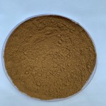 Reishi Mushroom Extract Factory - 40% Polysaccharides Powder