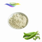 Pea Protein Powder Supplier - Organic Plant Protein Bulk