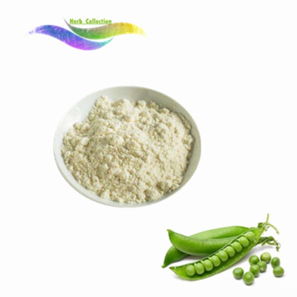 Pea Protein Powder Supplier - Organic Plant Protein Bulk
